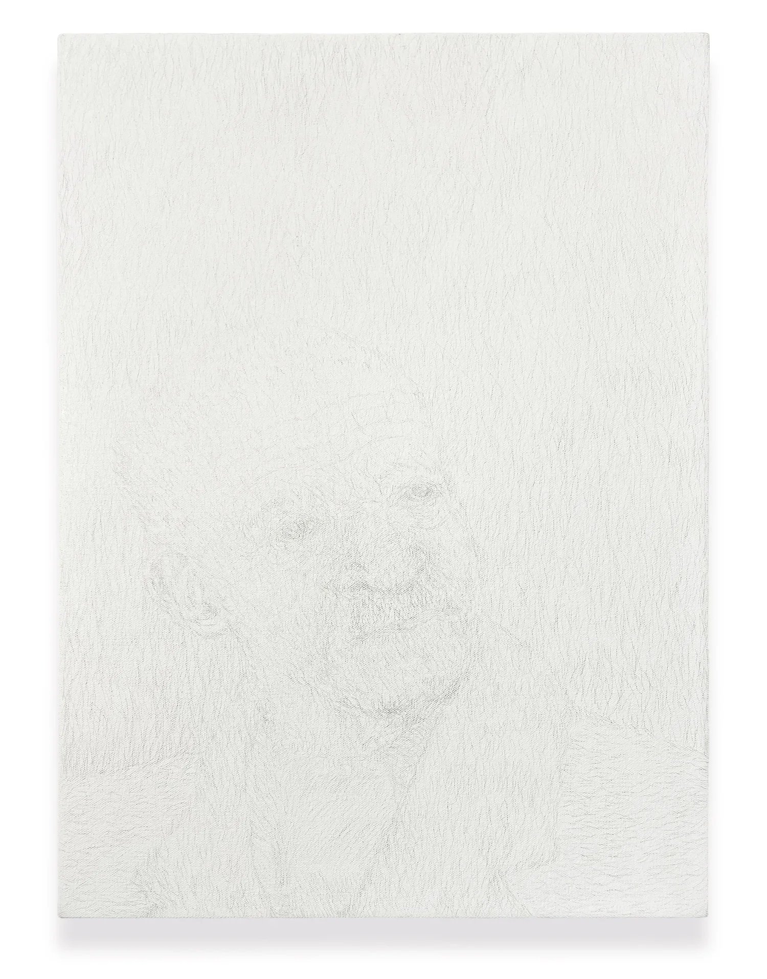 RANEE HENDERSON
GWC unless you’re peanut free
2022
Silverpoint on canvas
19 x 14 inches (48.3 x 35.6 cm)