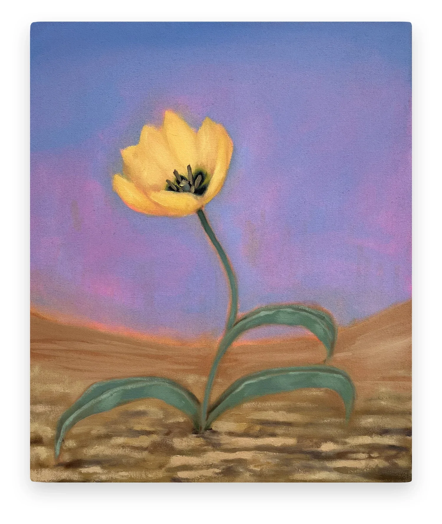 TRAVIS MCEWEN
Yellow Tulip, 2024 
Oil on canvas 
18 x 15 inches (45.7 x 38.1 cm)