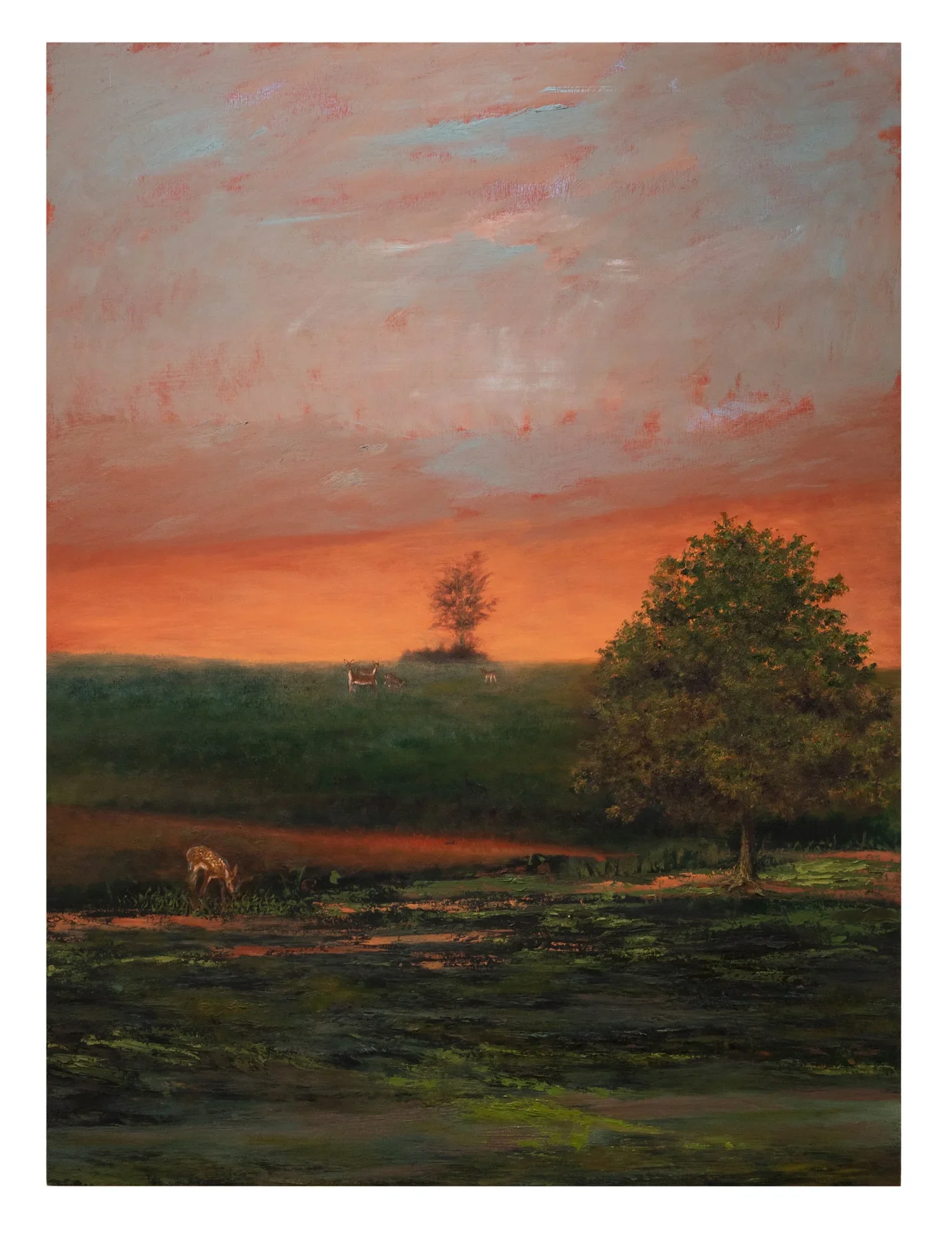 ANNIKA TUCKSMITH
That Orange Horizon, 2025
Oil on panel
48 x 36 inches (121.9 x 91.4 cm)