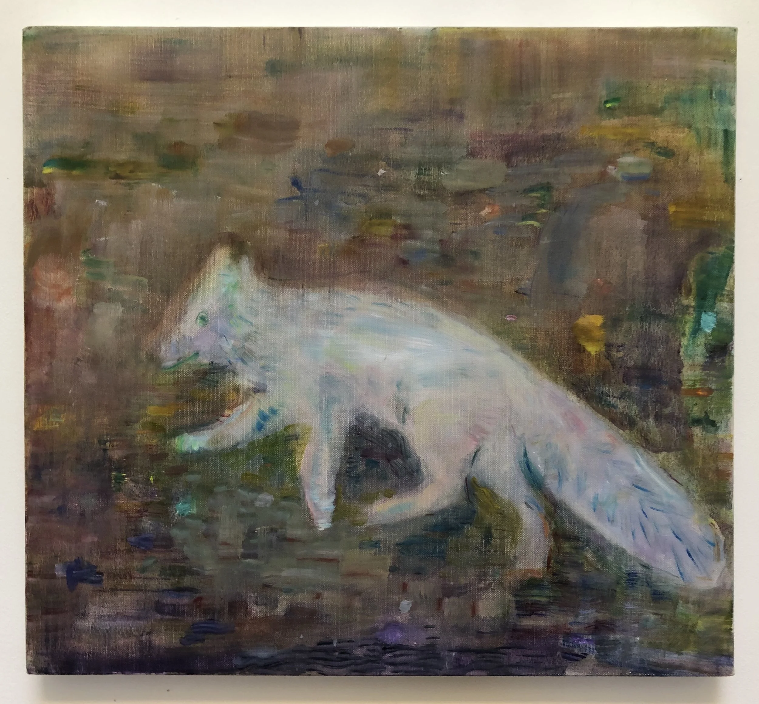 Colin Brant
Arctic Fox
2018
Oil on Canvas
18 x 20 inches