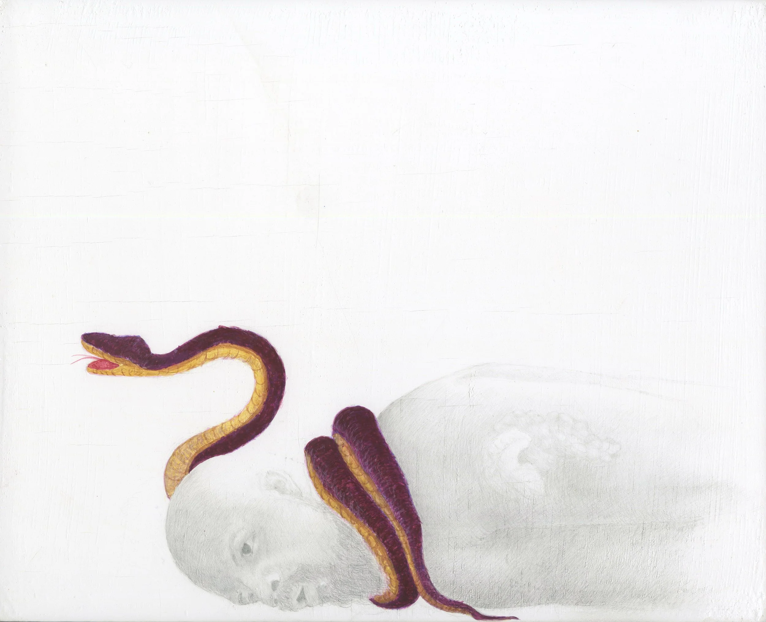 Darryl Smith
Ego cum Agathodæmone qui me strangulat (Myself with Agathodemon strangling me)
2019
24-carat goldpoint, silverpoint and egg tempera on hand-gessoed panel
8 x 10 inches