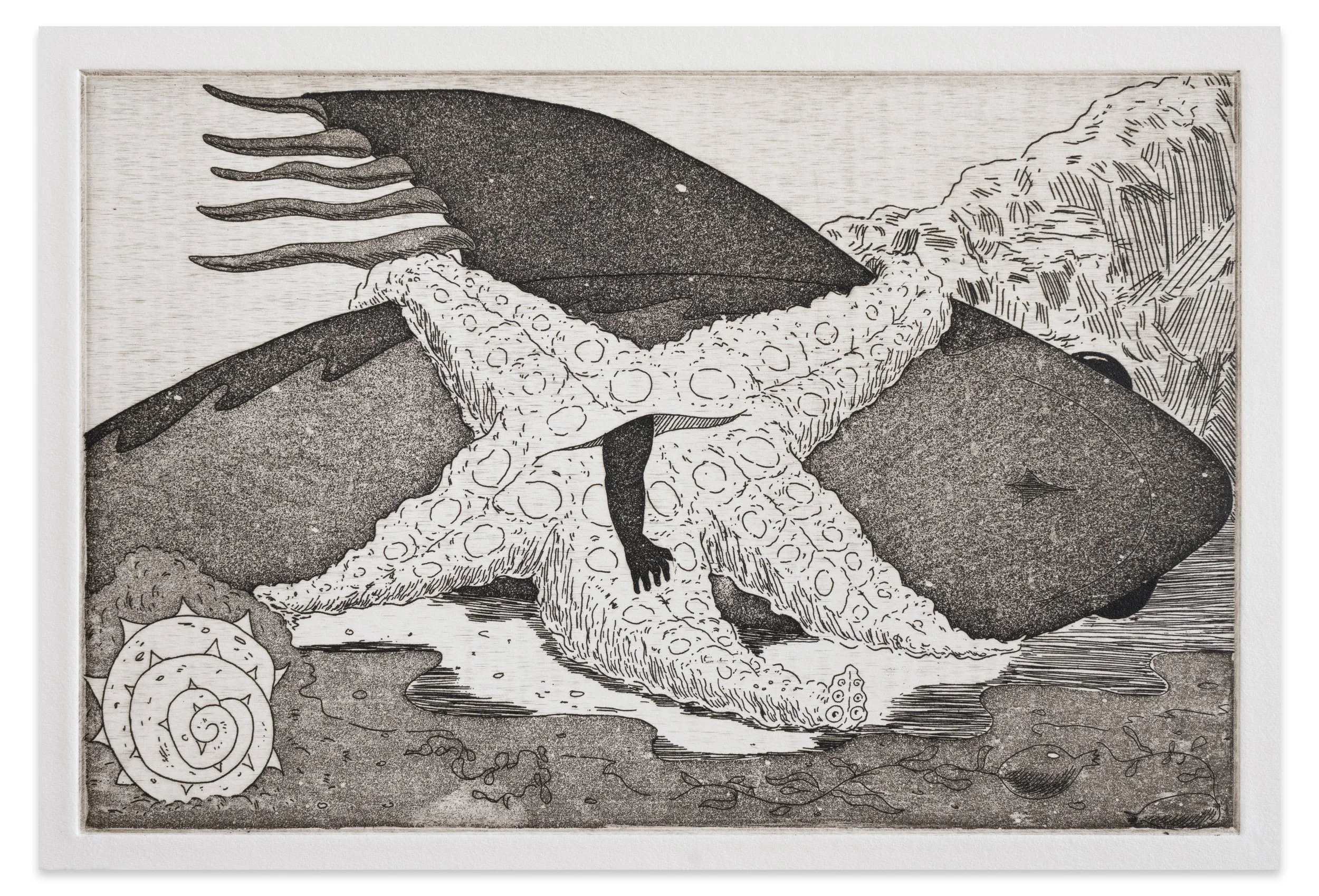 ALEX JACKSON
The Landing of E (Asteroidea), 2023
Etching and aquatint on paper
Sheet size: 9.875 x 13.875”
Plate size: 6 x 9”
Edition of 20 + 5 AP