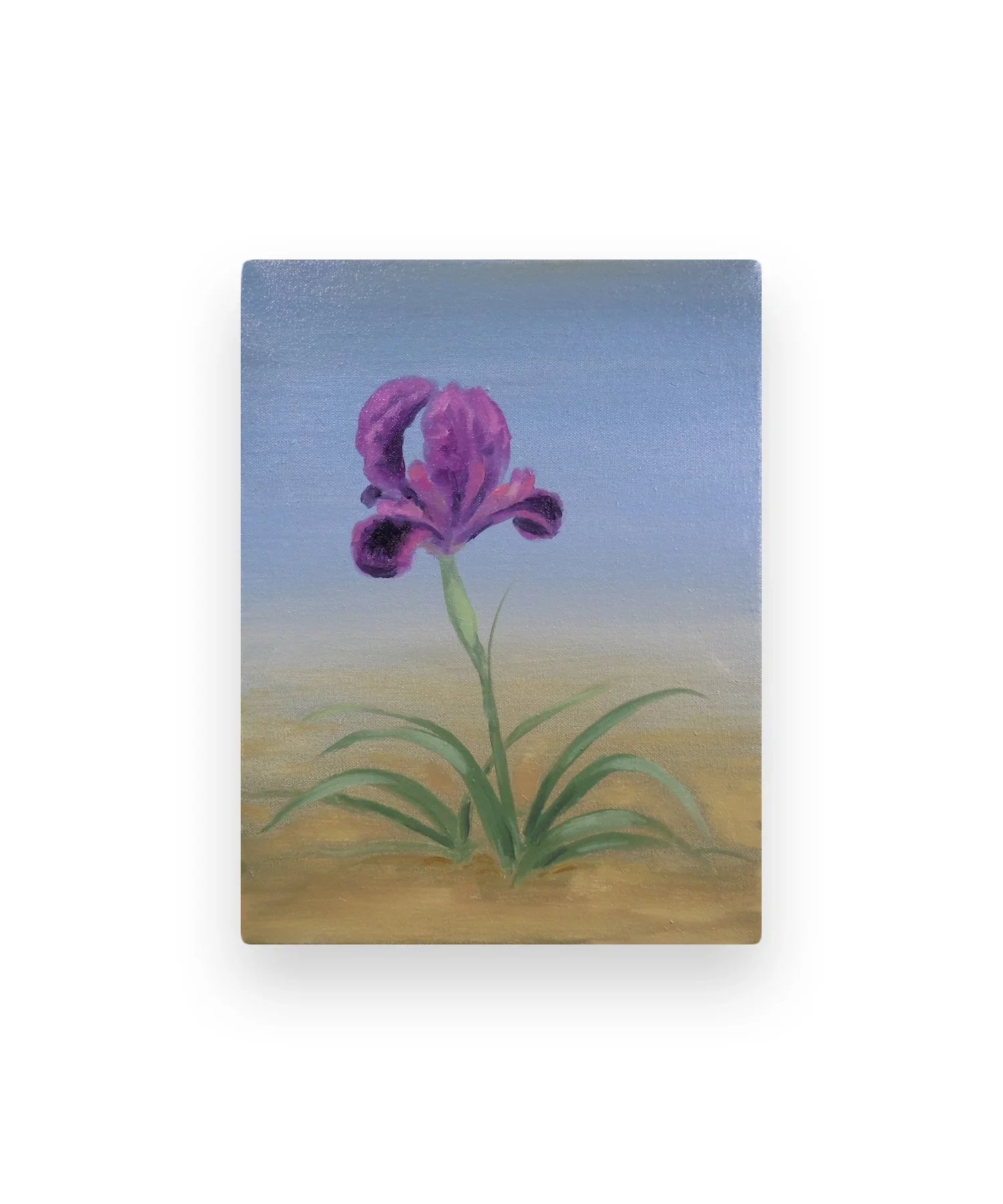 TRAVIS MCEWEN
Iris barnumae, 2021 
Oil on canvas 
12 x 9 inches (30.5 x 22.9 cm)