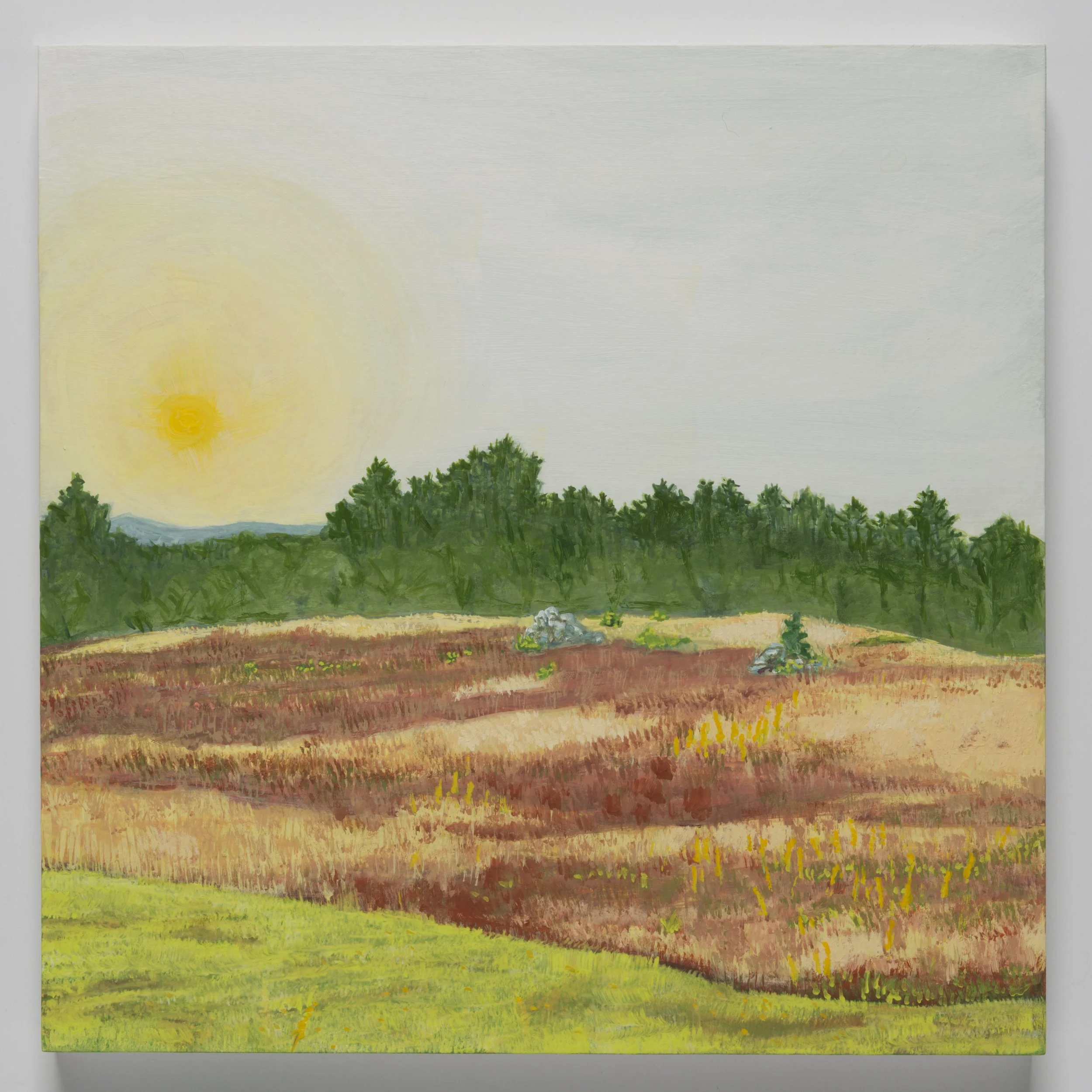SARAH MCENEANEY
Surry Morning, 2022
Acrylic on board
12 x 12 inches (30.5 x 30.5 cm)