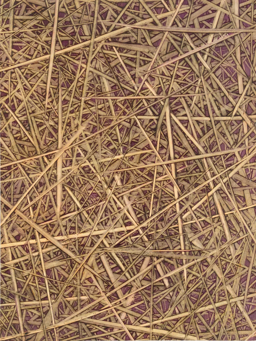MARK SHEINKMAN
Java
2018
Oil on paper
12 x 9 inches
