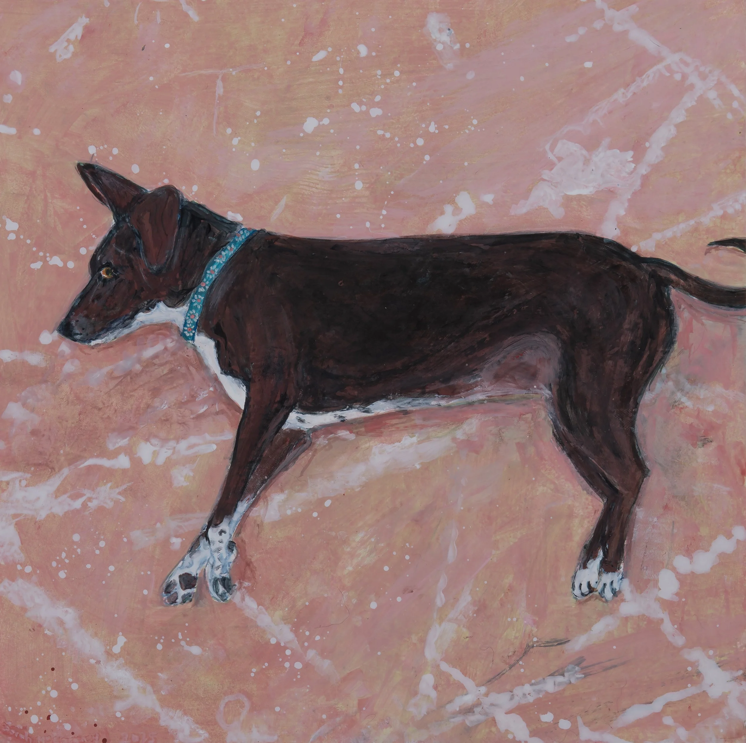 SARAH MCENEANEY
Lana, 2025
Acrylic on panel
10 x 10 inches (25.4 x 25.4 cm)
