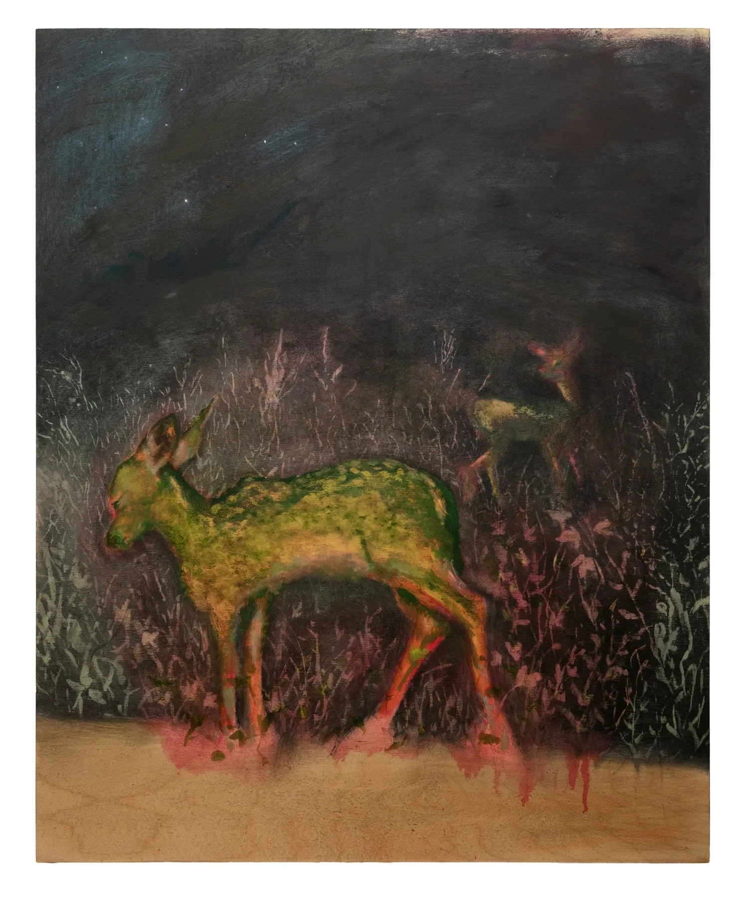 ANNIKA TUCKSMITH
Two Fawns at Night, 2025
Oil on panel
30 x 24 inches (76.2 x 61 cm)