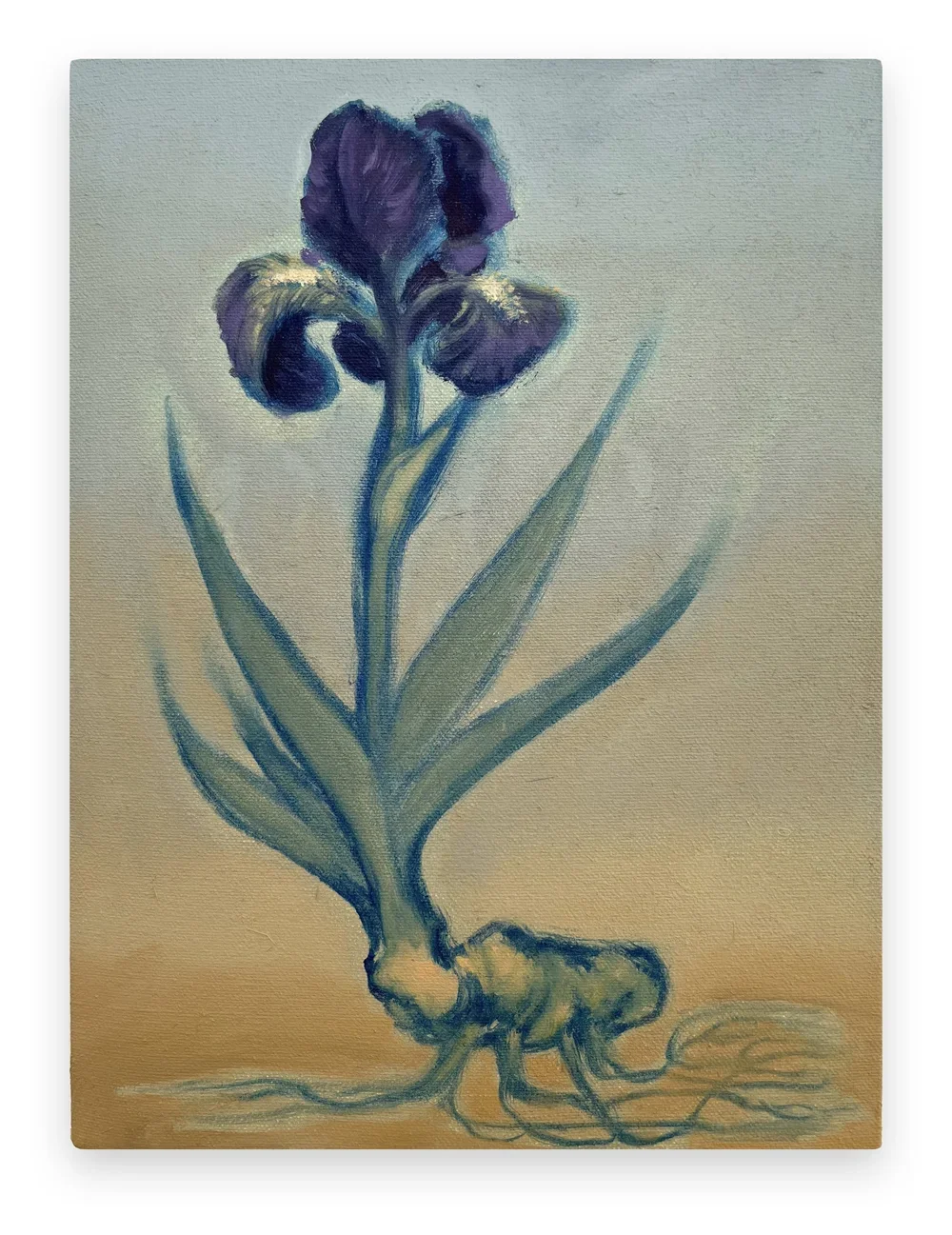 TRAVIS MCEWEN
Rhizome, 2022 
Oil on canvas 
12 x 9 inches (30.5 x 22.9 cm)