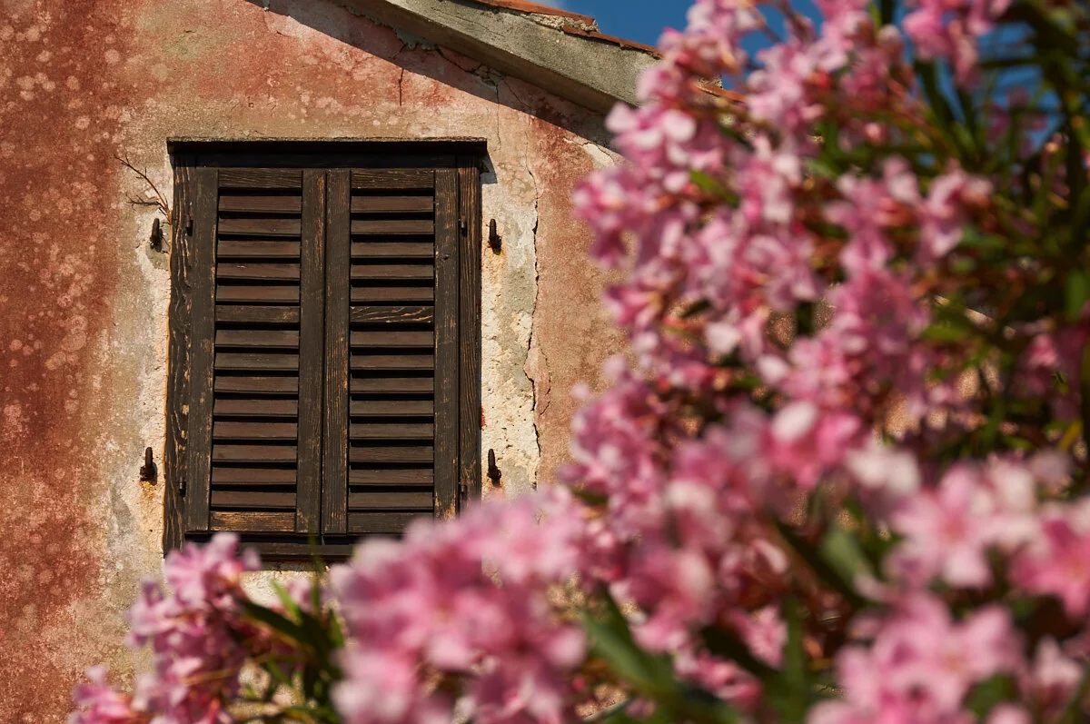 Letters of CoVid-19 with Love