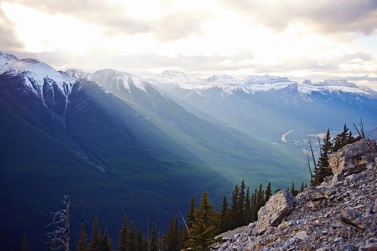 Letter of Gratitude 2019