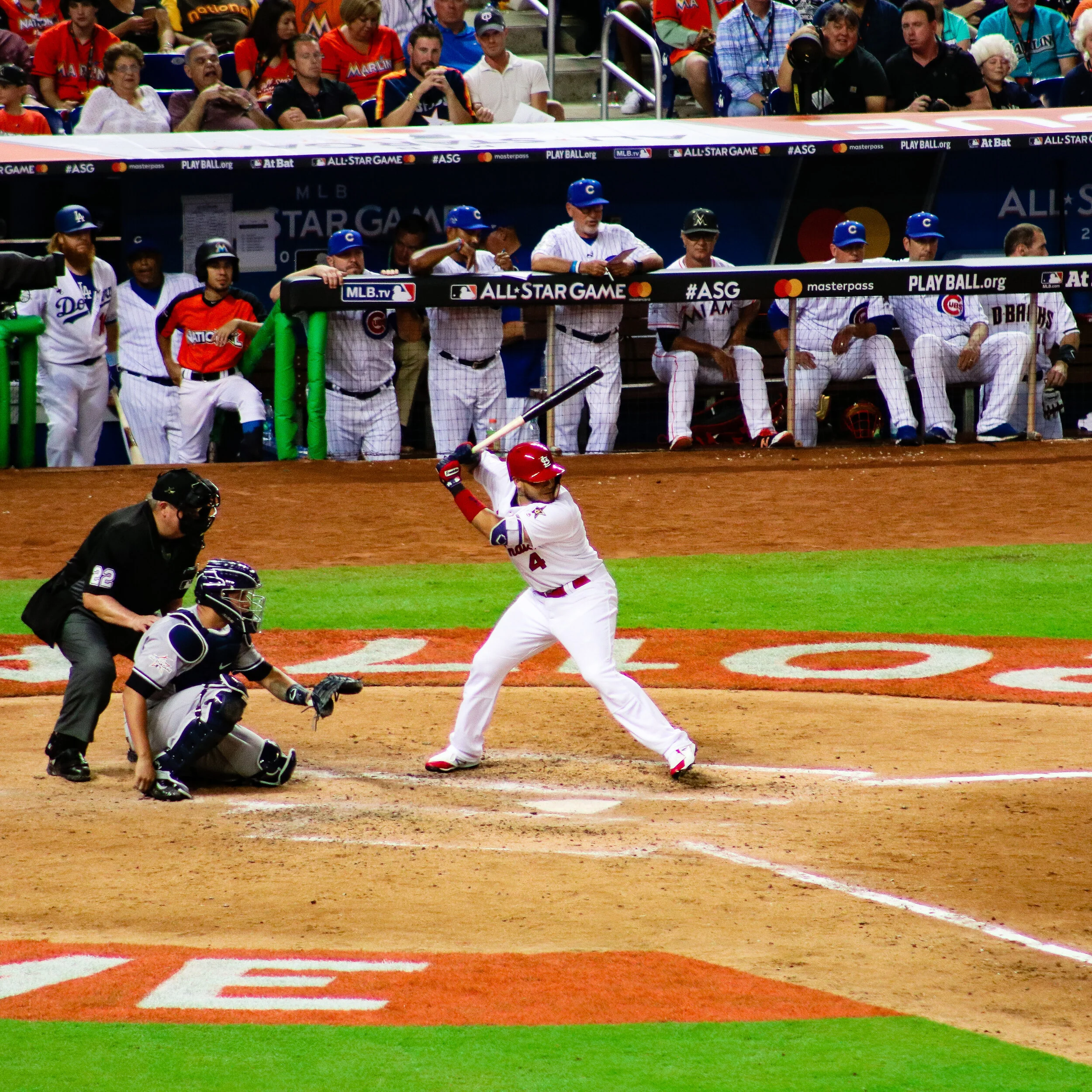 IMG_7145.jpg