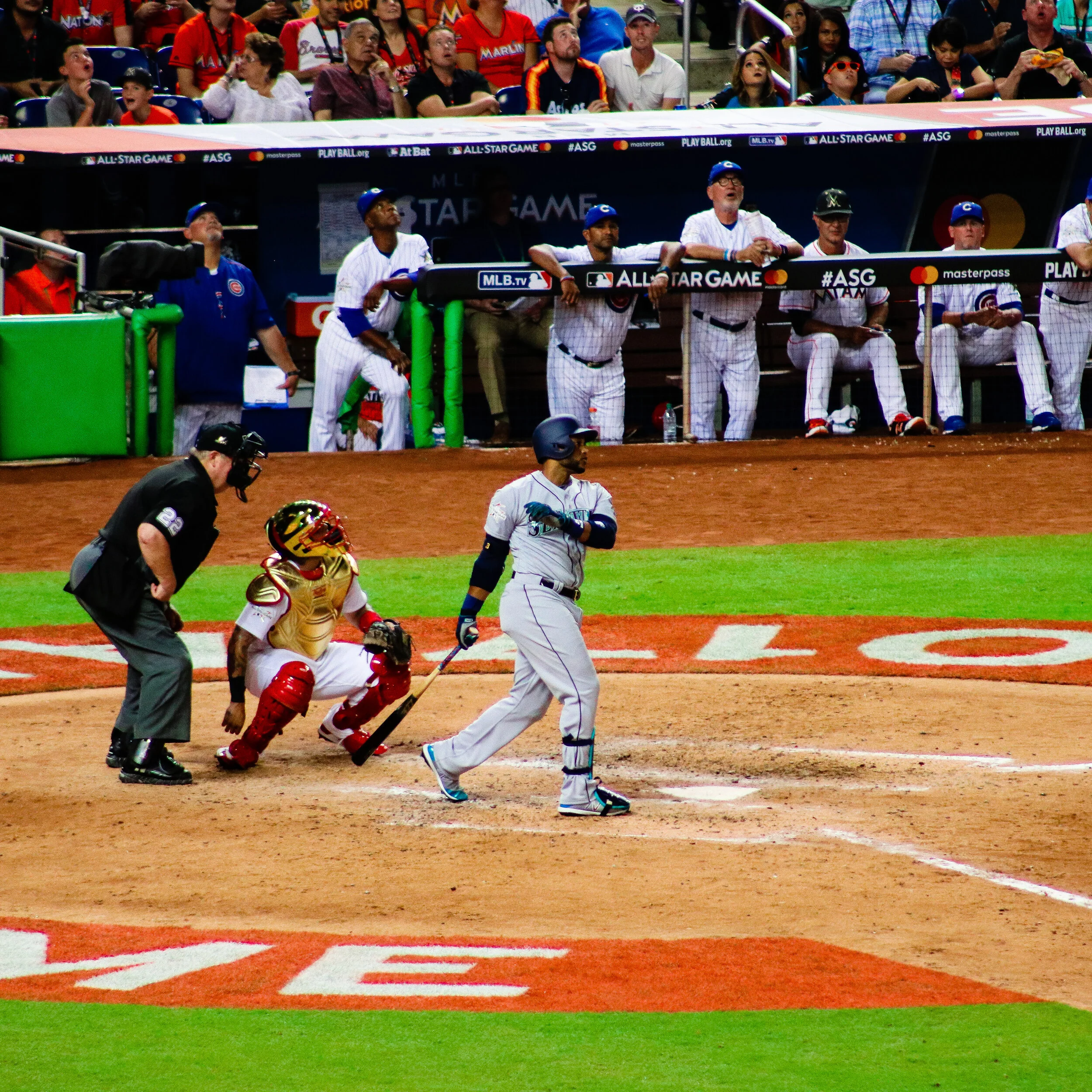 IMG_7393.jpg