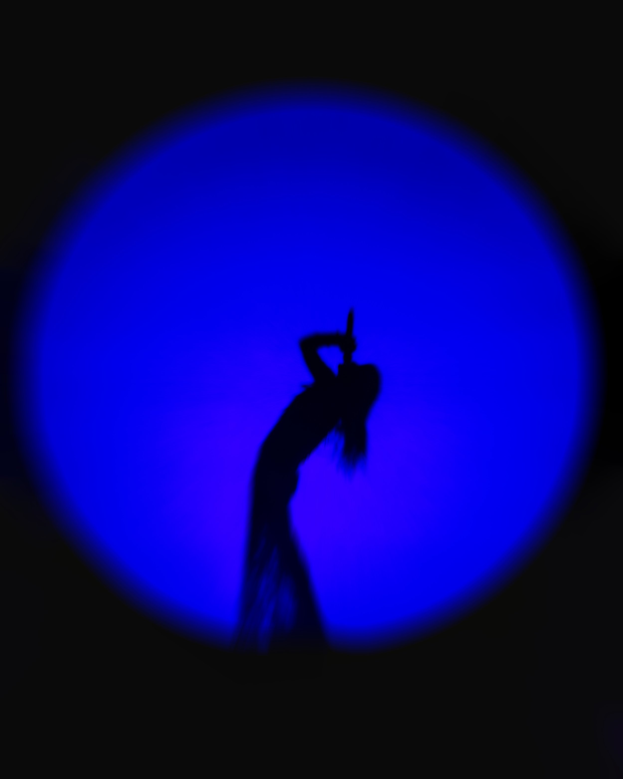 IMGL1170-Enhanced-NR-shopped.jpg