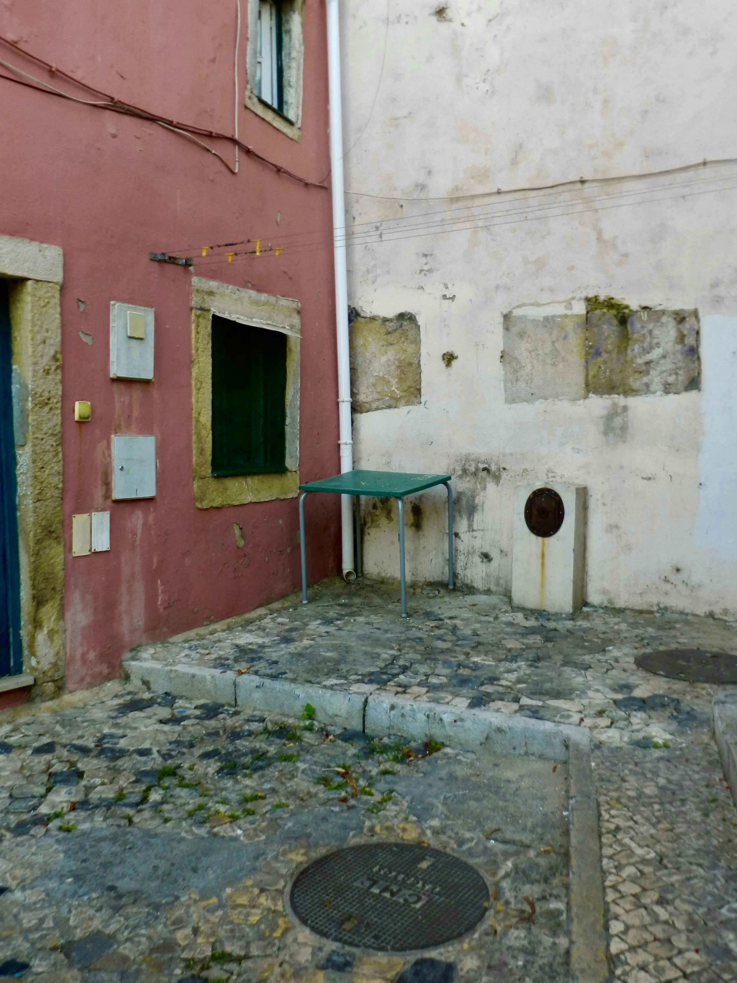 DSCN1921.jpg