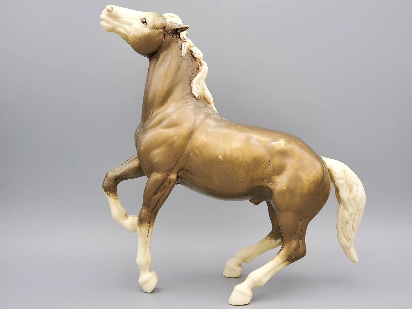 Mustang 2.jpg
