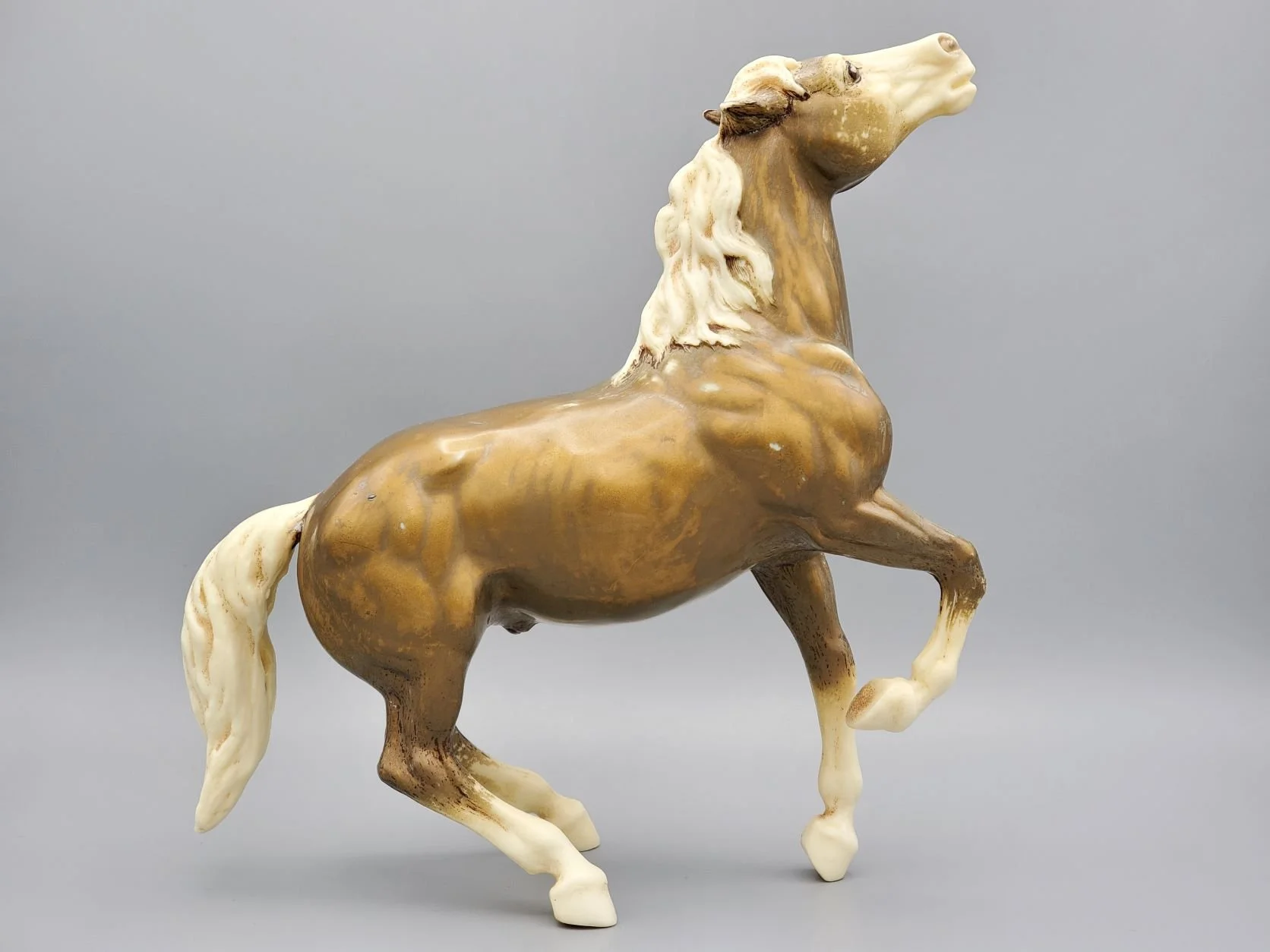Mustang 1.jpg