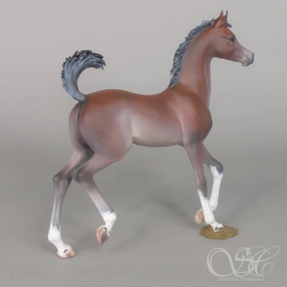 20260324_164139418.jpg