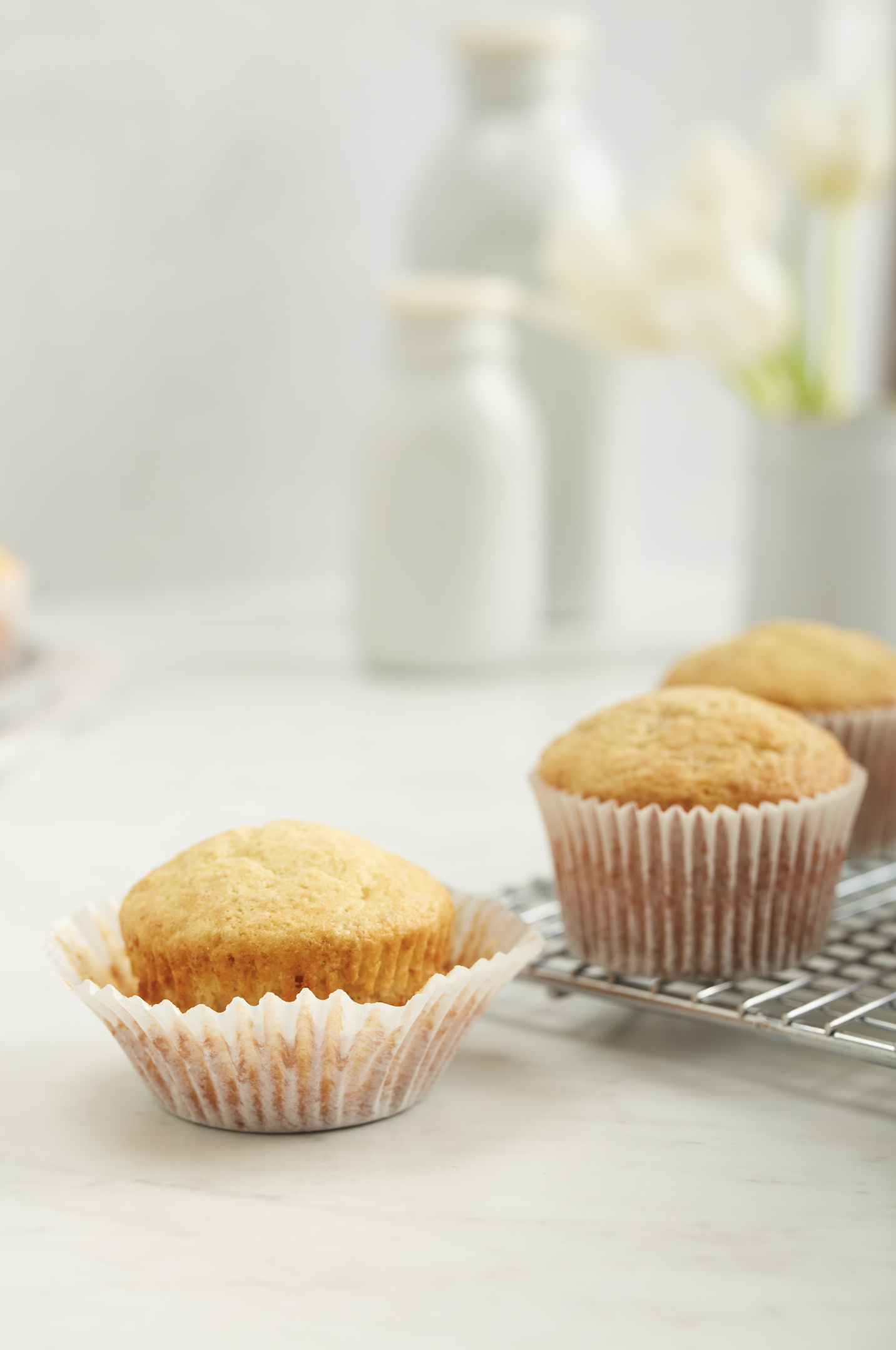 Screen Shot 2022-02-25 at 2.30.03 PM.png