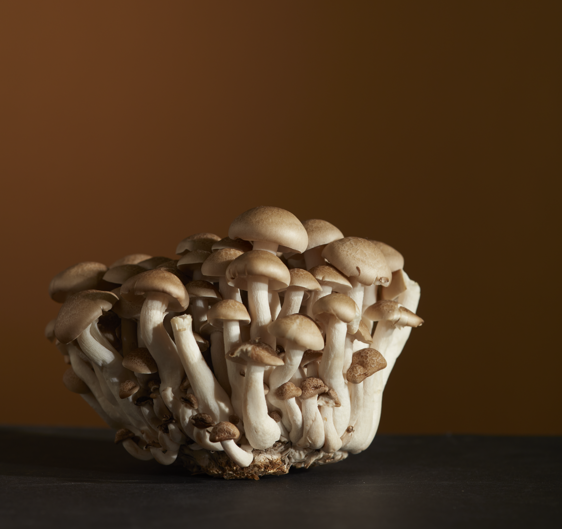 Screen Shot 2021-04-12 at 4.21.07 PM.png