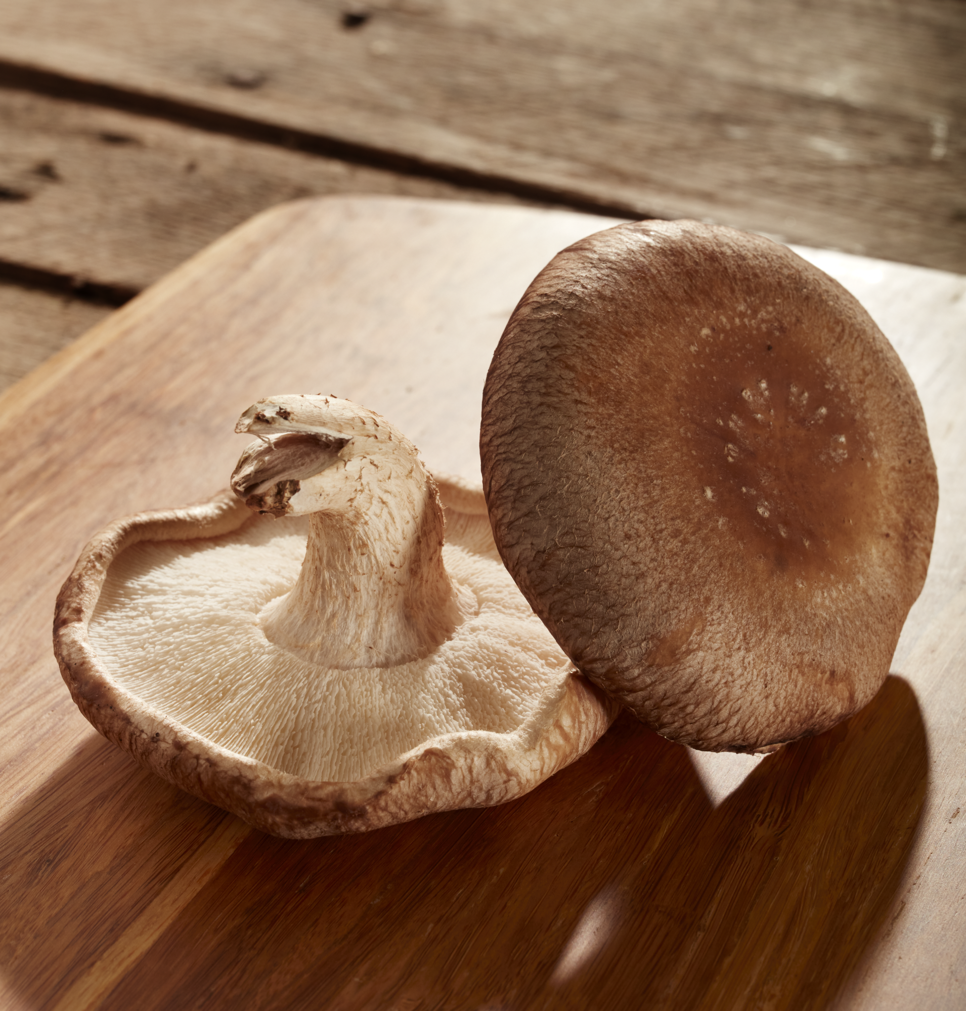 Screen Shot 2021-04-12 at 4.21.30 PM.png