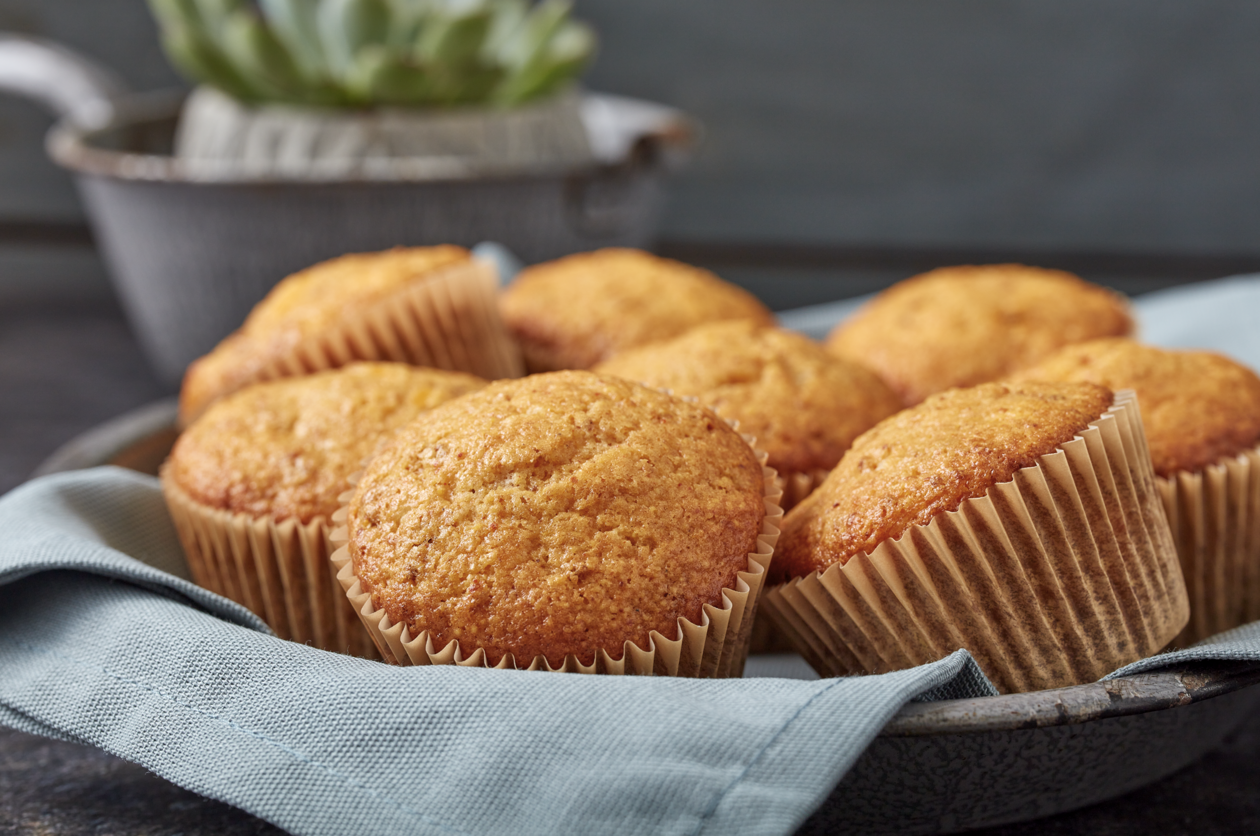 Screen Shot 2022-02-25 at 2.30.52 PM.png