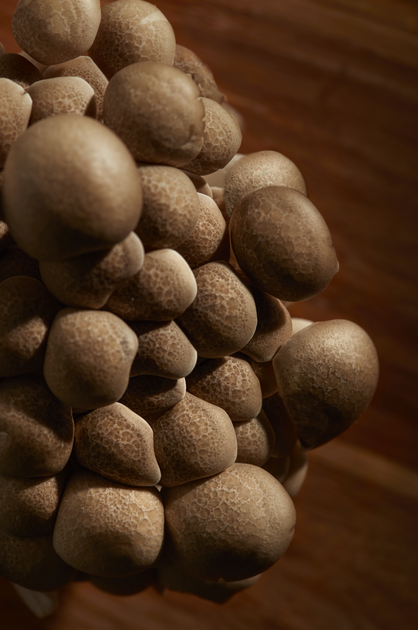 Screen Shot 2021-04-12 at 4.20.40 PM.png