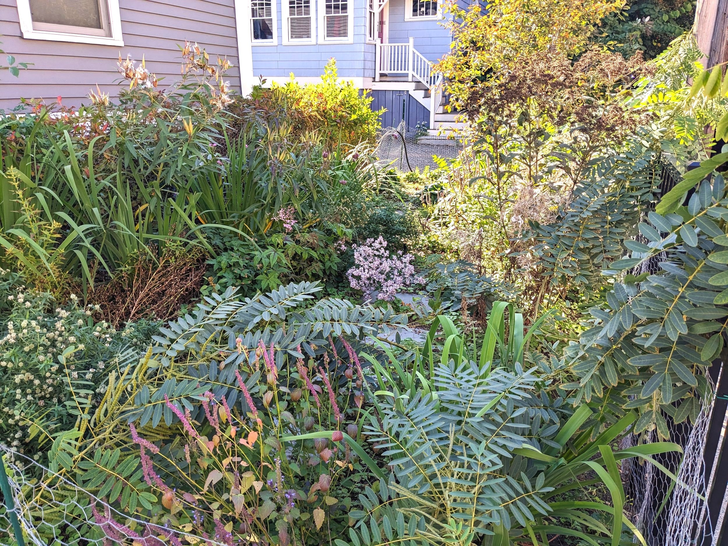 PXL_20231004_190911562.jpg