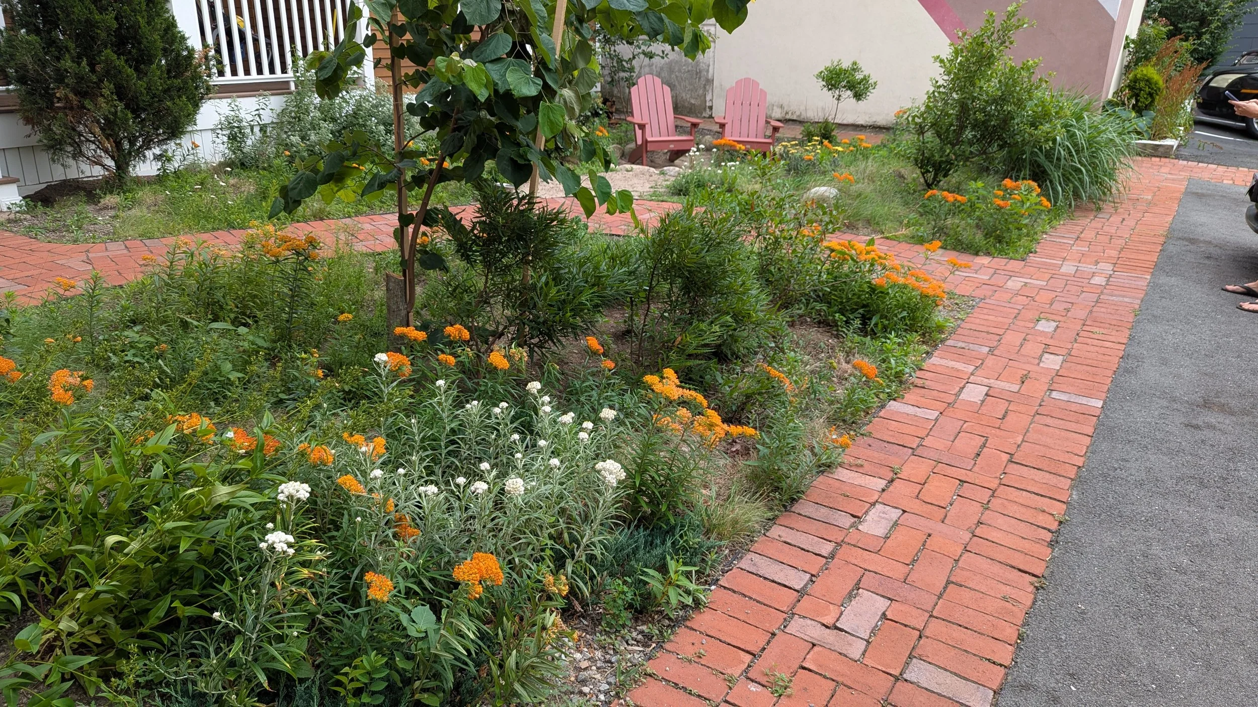 Sydney St., Cambridge