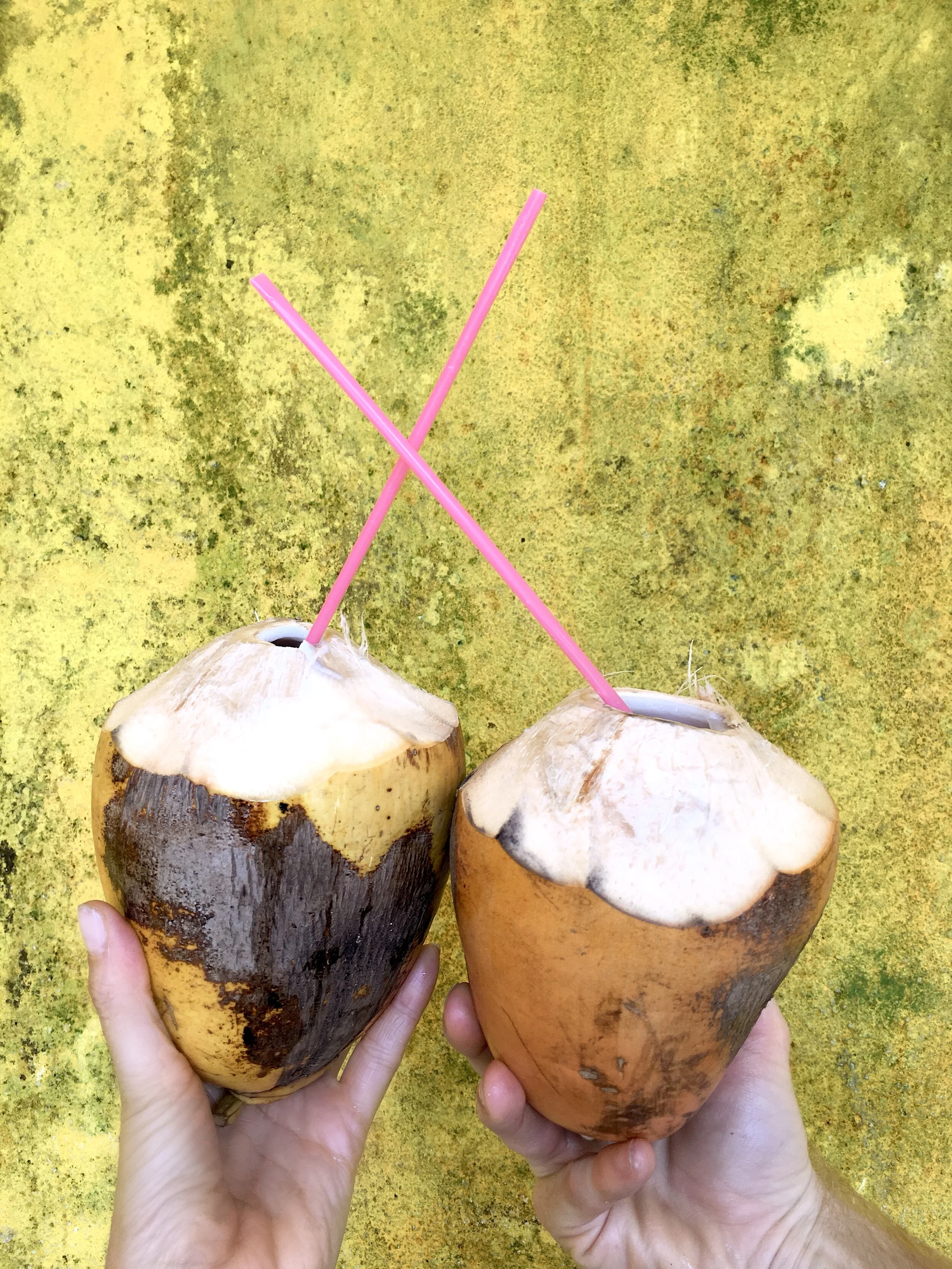 coconuts in sri lanka.JPG