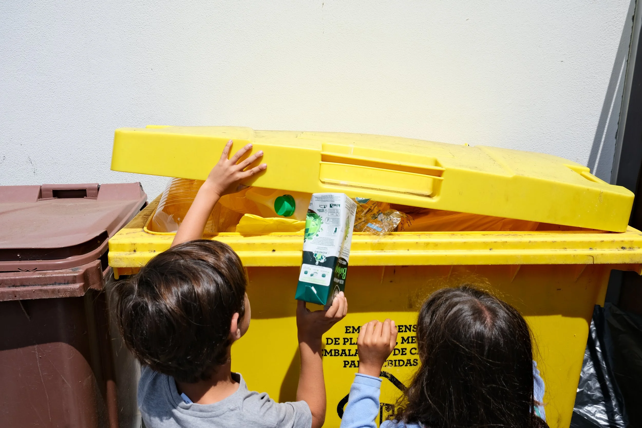 Launching Our Sustainability Committee &amp; Eco-Tips