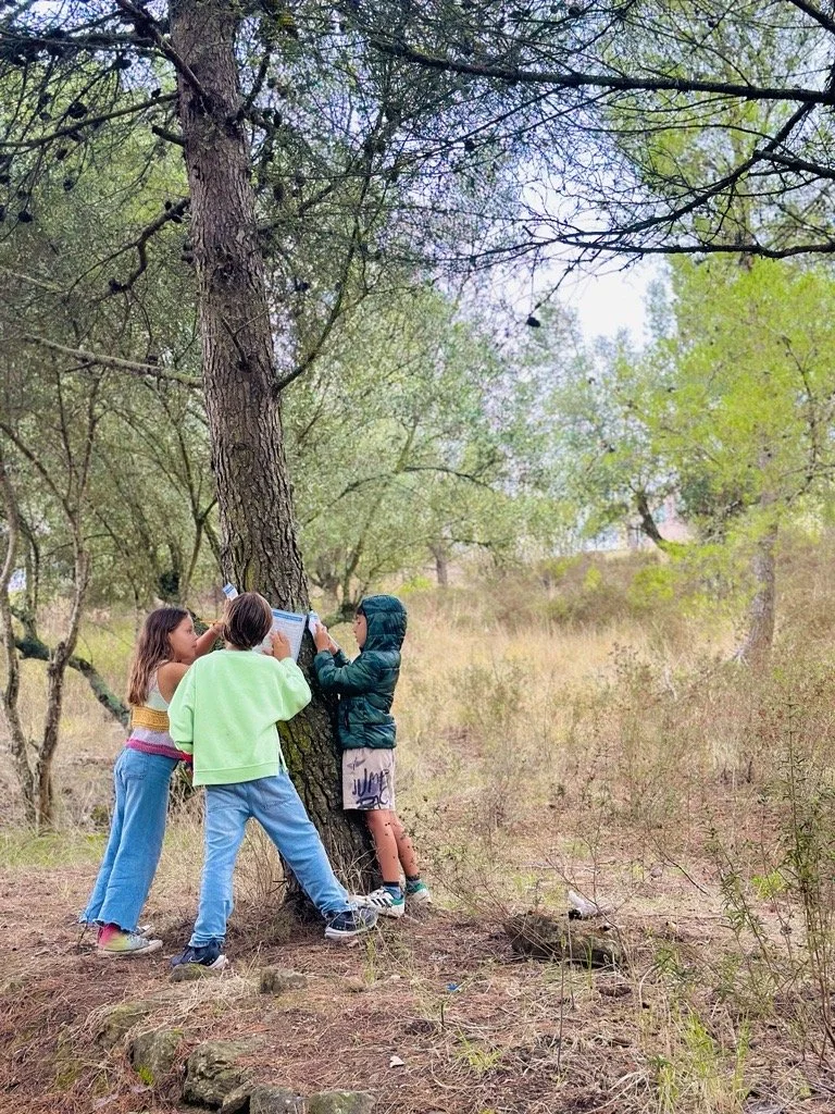 Portuguese Grammar in the Forest for Primary Grade 3&nbsp;| Aula de Gramática Portuguesa para o 3º ano na Floresta