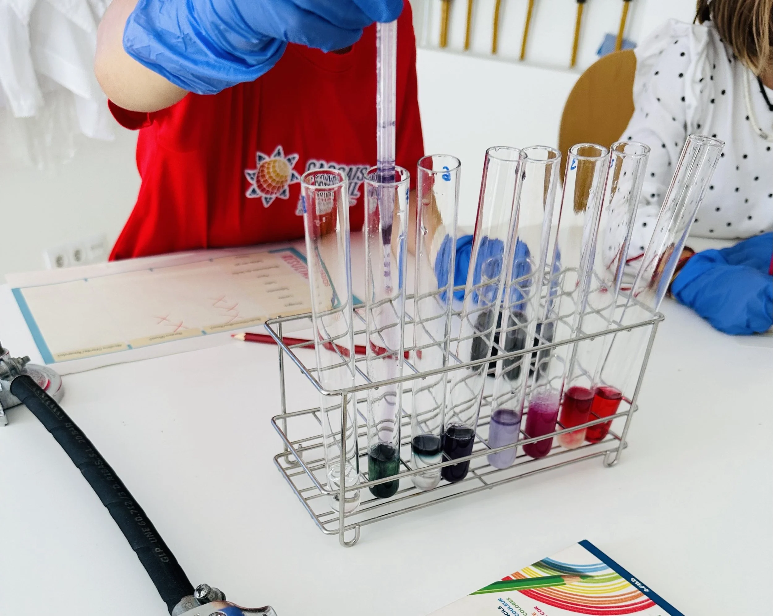 Primary School Science Oficina: Exploring pH with Red Cabbage Experiment | Oficina de Ciências da Primária: Explorando o pH com a Experiência da Couve-Roxa