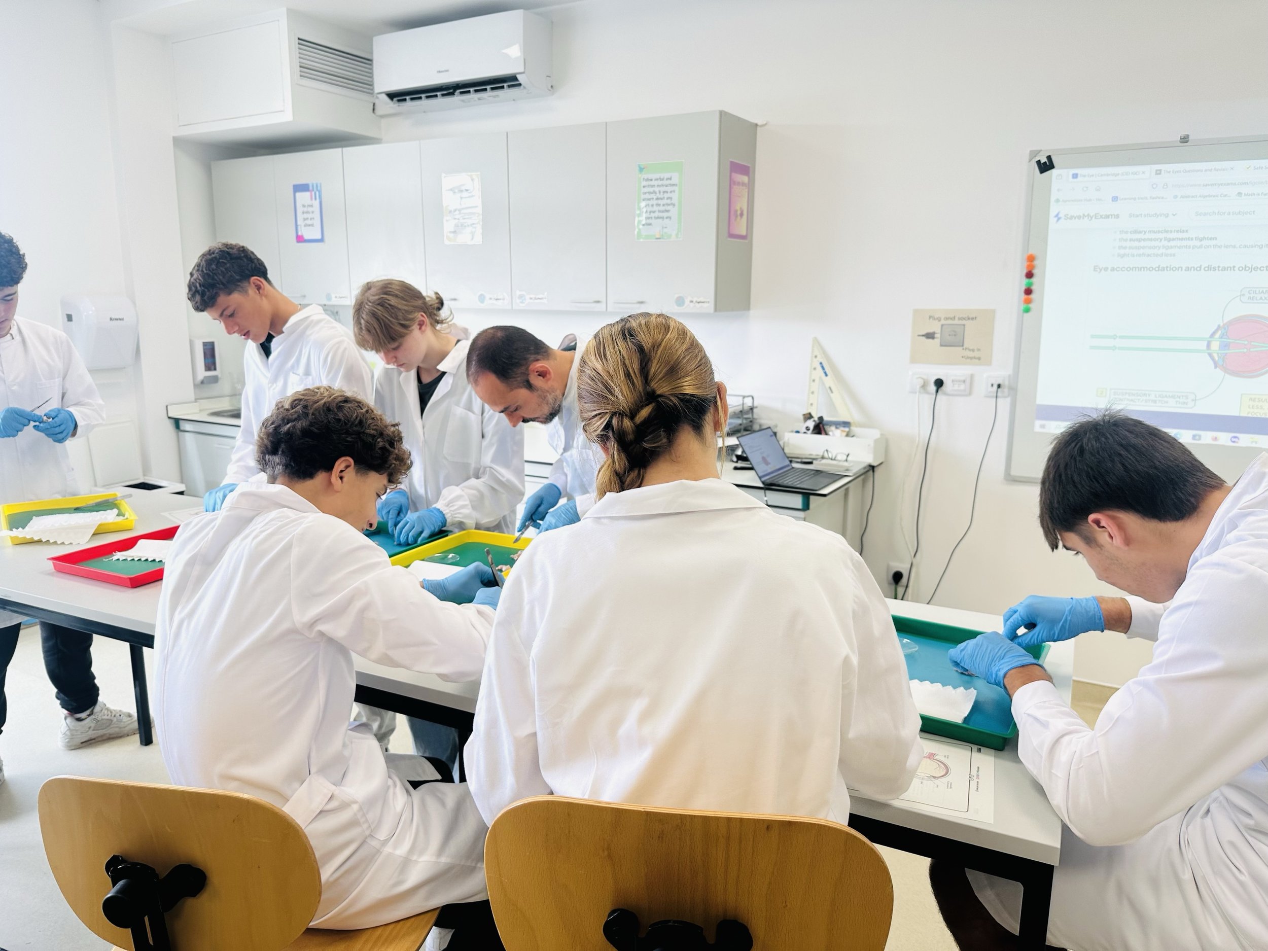 Grade 10 Dives into Hands-On Biology with Eye Dissection | 10º ano em Aula Prática sobre Dissecação de Olhos