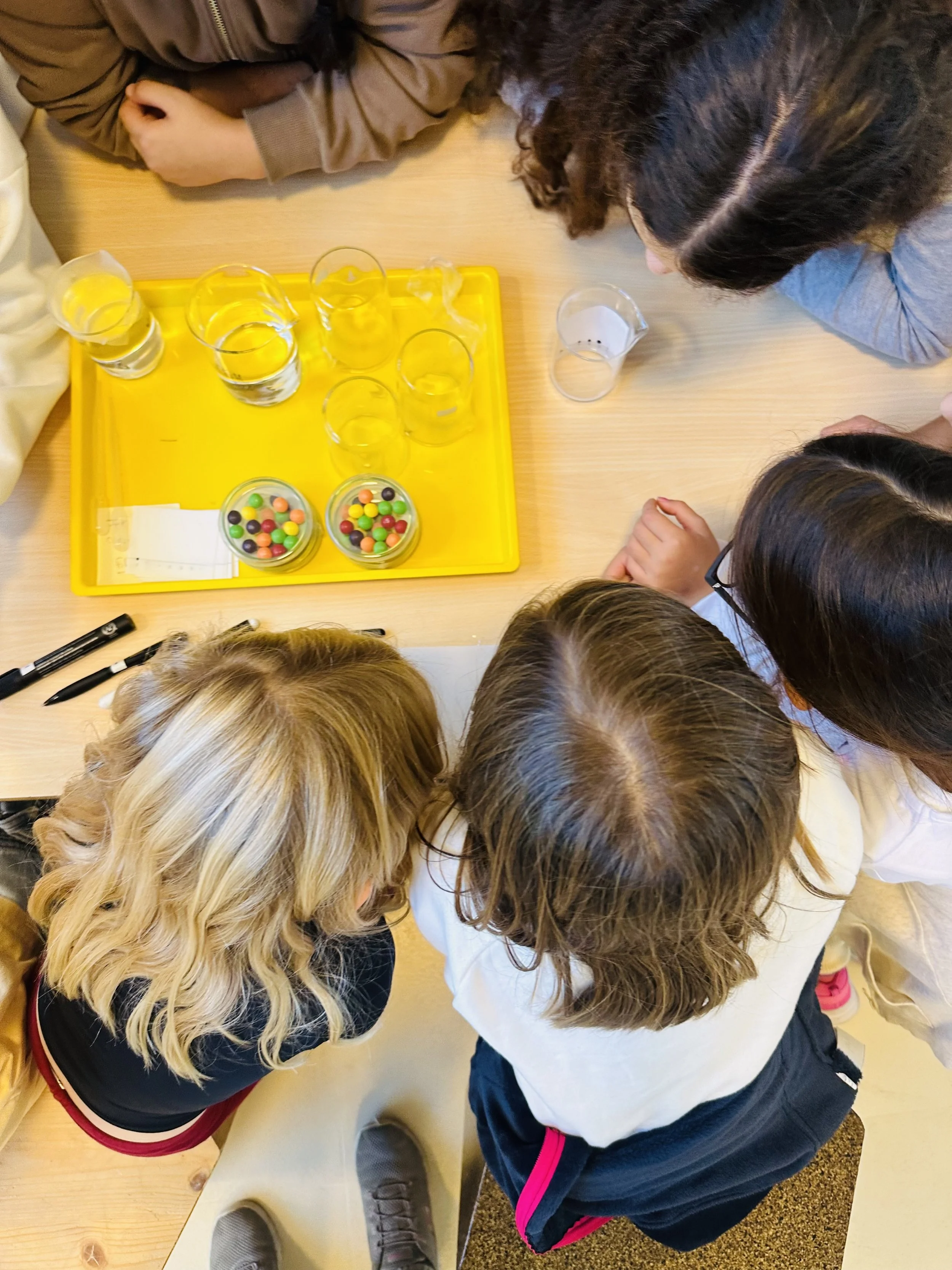 STEM Week Highlights: Exploring Science, Math, and Technology through Hands-On Learning | Explorar a ciência, a matemática e a tecnologia através da aprendizagem prática