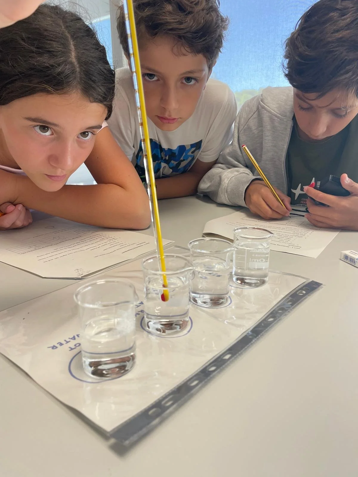  Strengthening Scientific Skills in Physics | Consolidar Competências Científicas em Física
