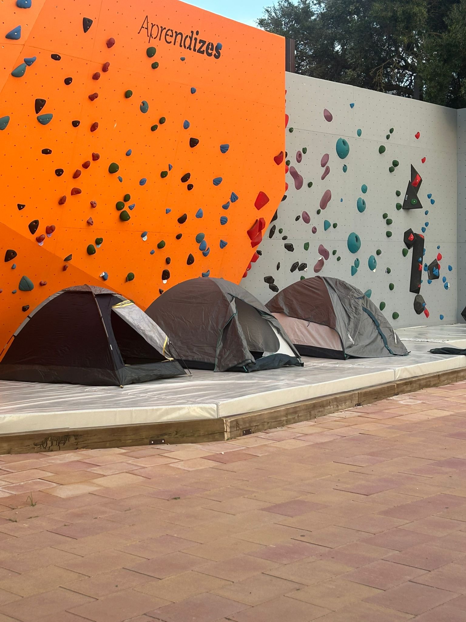 WhatsApp Image 2025-09-19 at 09.21.36.jpeg