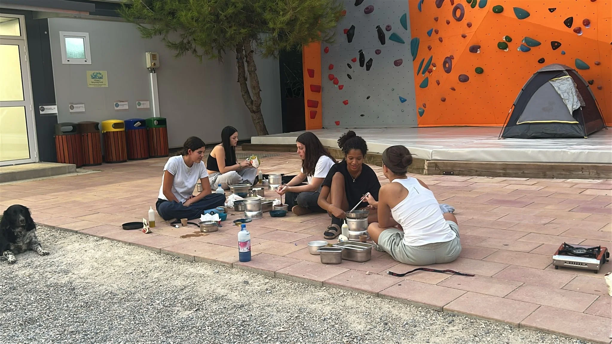 WhatsApp Image 2025-09-18 at 19.43.59.jpeg