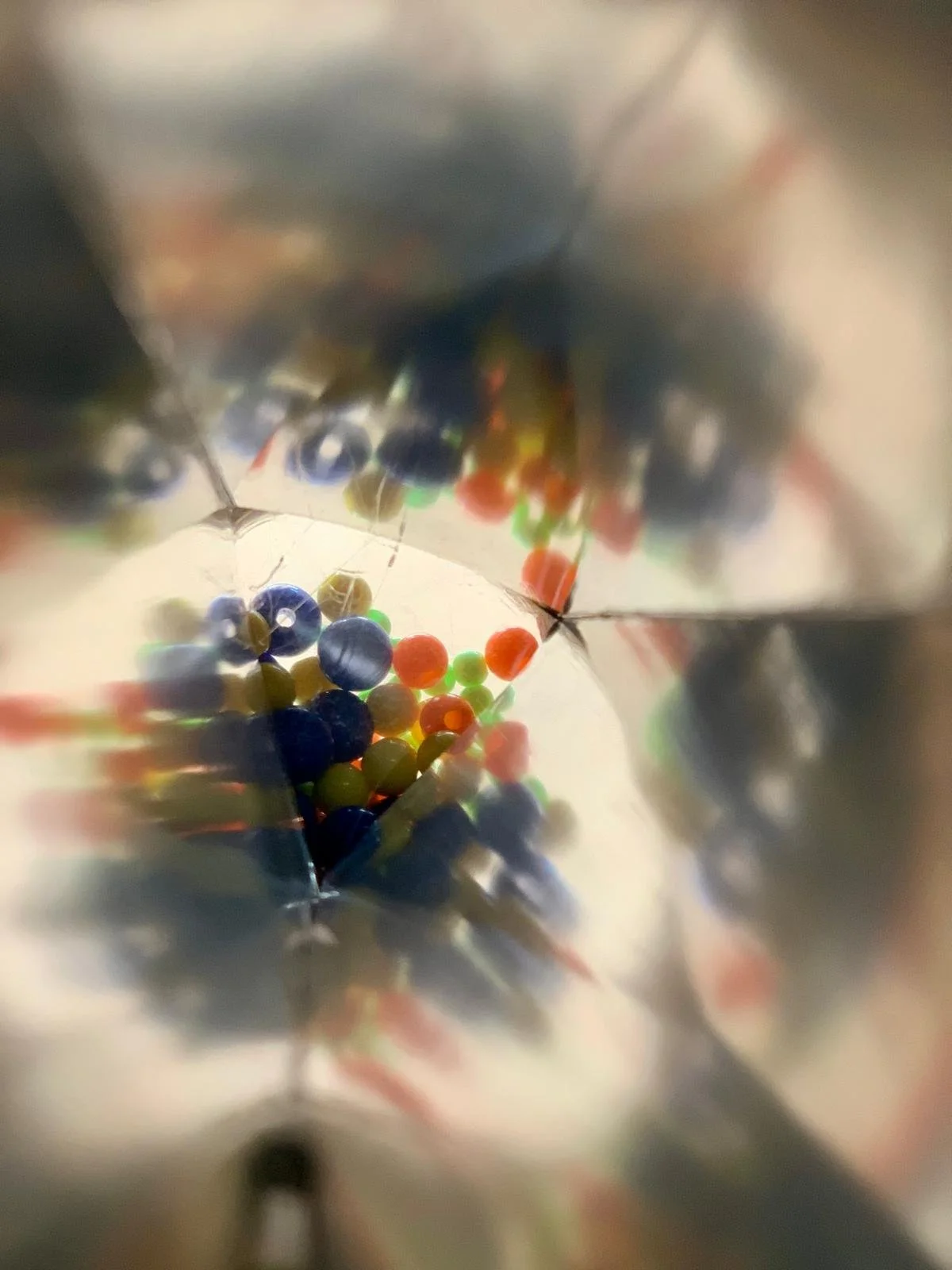 WhatsApp Image 2025-09-23 at 09.50.59.jpeg