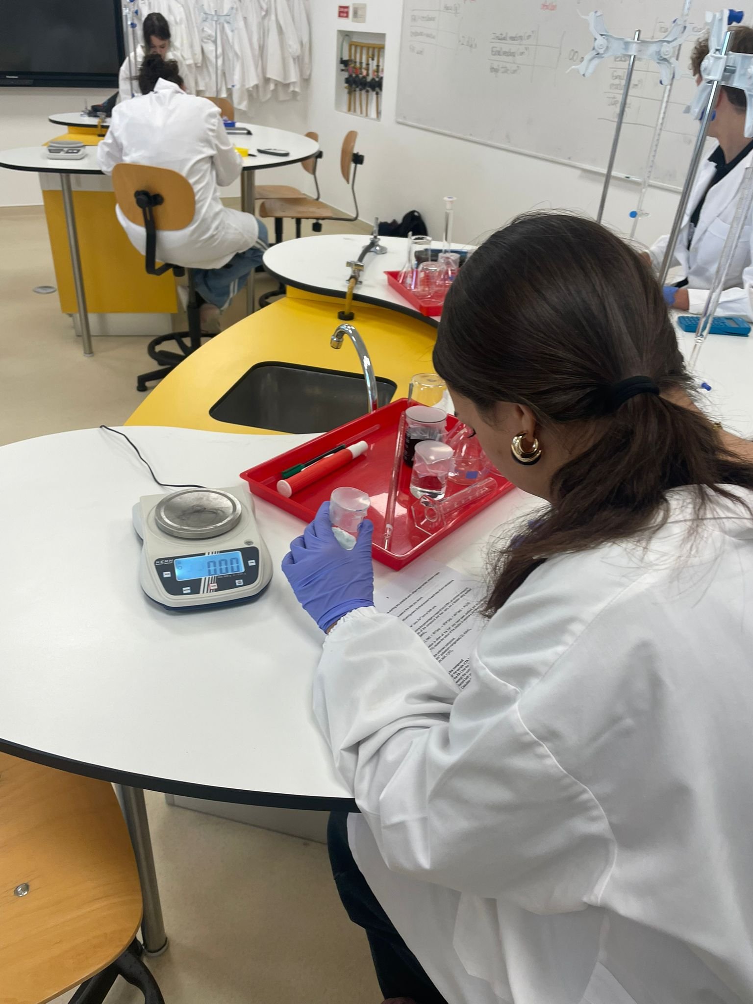 Grade 11 Chemists Become Detectives in the Lab | Químicos do 11.º Ano Tornam-se Detetives no Laboratório