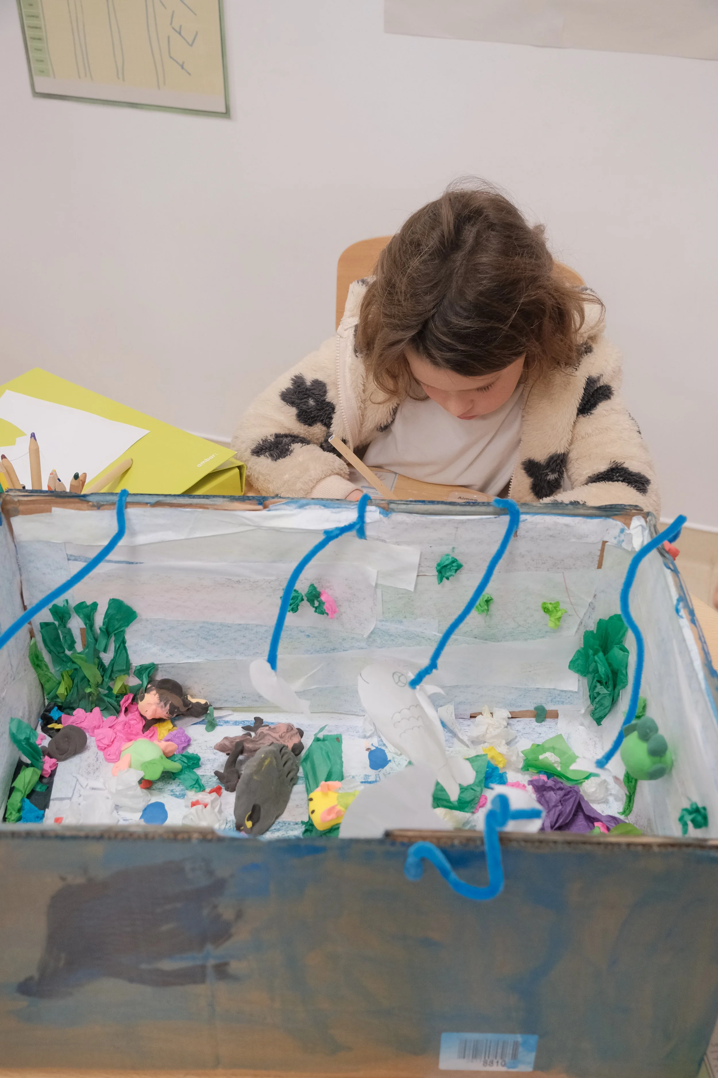 Grade 1A Explores the Under of the Ocean |  1A Explora as Maravilhas da Profundeza do Oceano