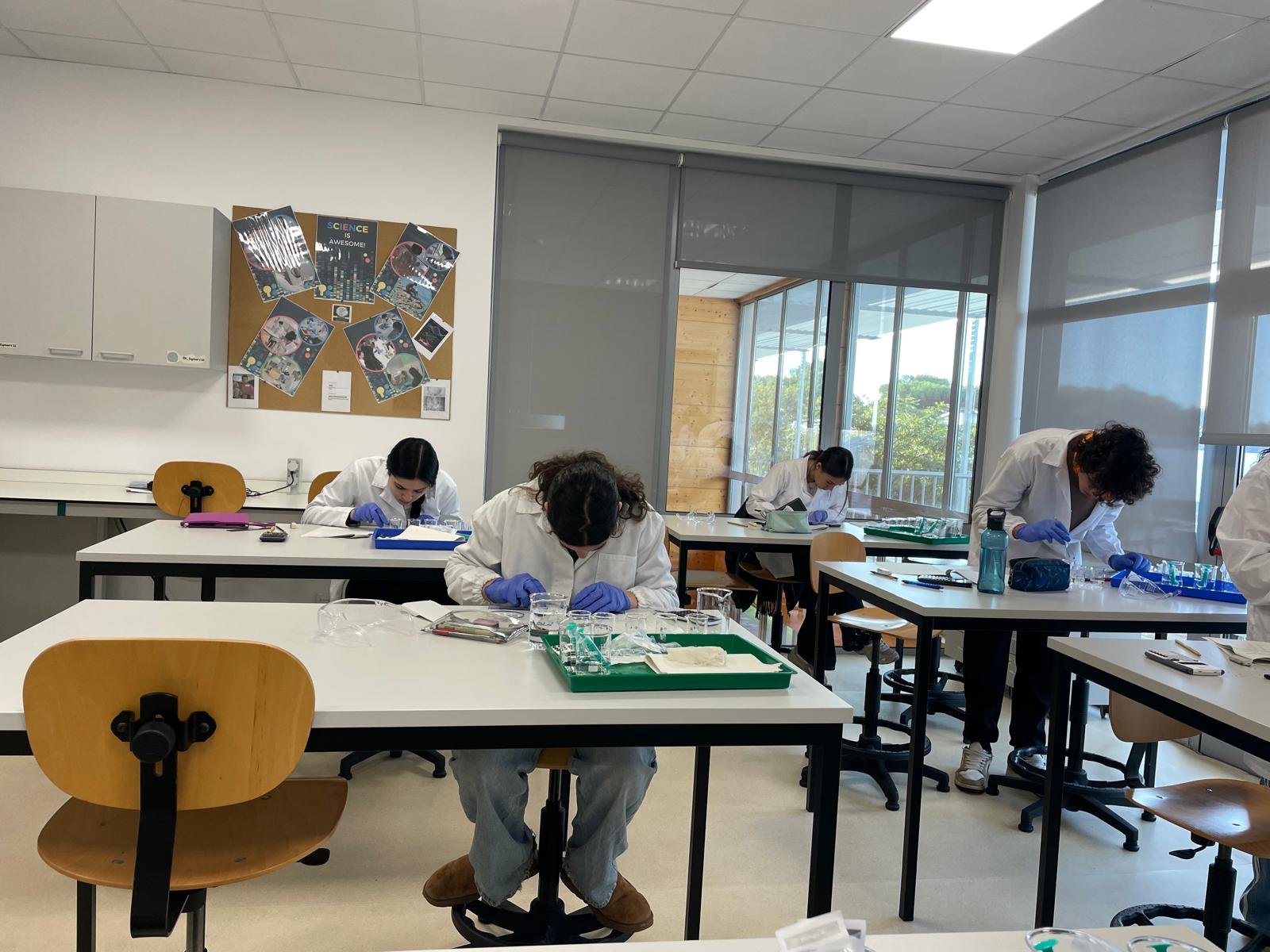 Practical Exam Simulation in Biology | Simulação de Exame Prático em Biologia
