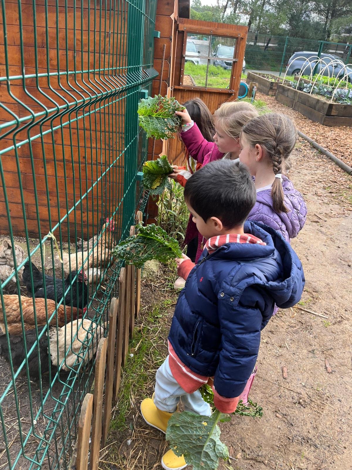 WhatsApp Image 2025-12-05 at 13.03.53 (1).jpeg