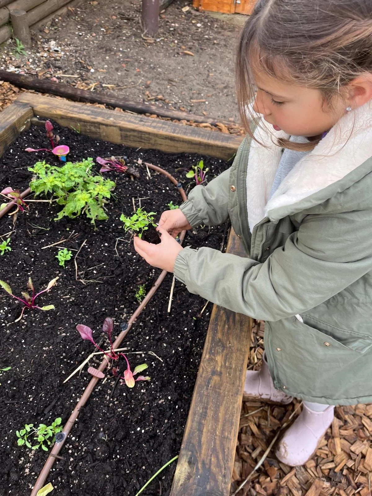 WhatsApp Image 2025-12-05 at 13.03.54 (3).jpeg