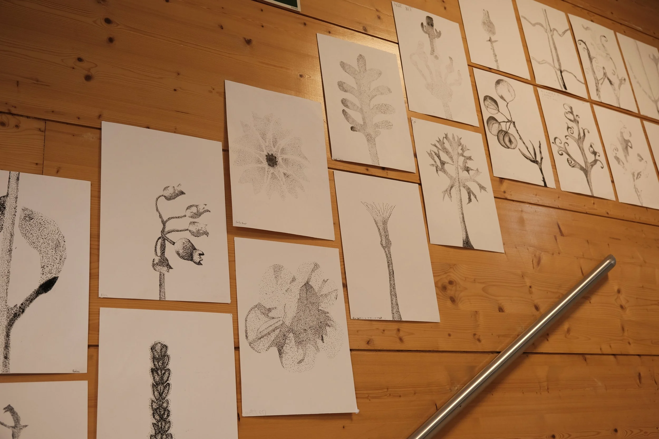 Grade 5 Art Exhibition: Dots That Define Form | Exposição de Arte do 5º Ano: Pontos Que Definem a Forma