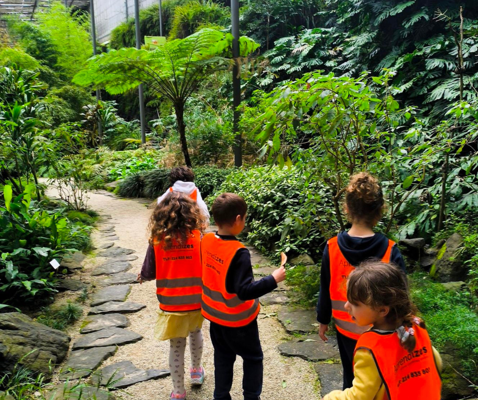 A Magical Day at Cinema São Jorge and Estufa Fria | Um Dia Mágico no Cinema São Jorge e na Estufa Fria