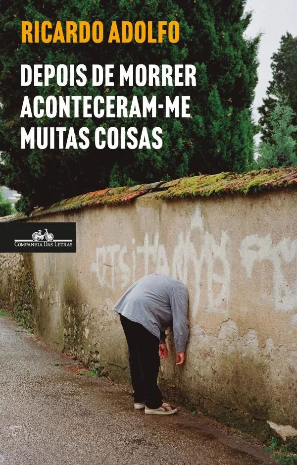 Depois de morrer aconteceram-me muitas coisa_Ricardo Adolfo.jpg