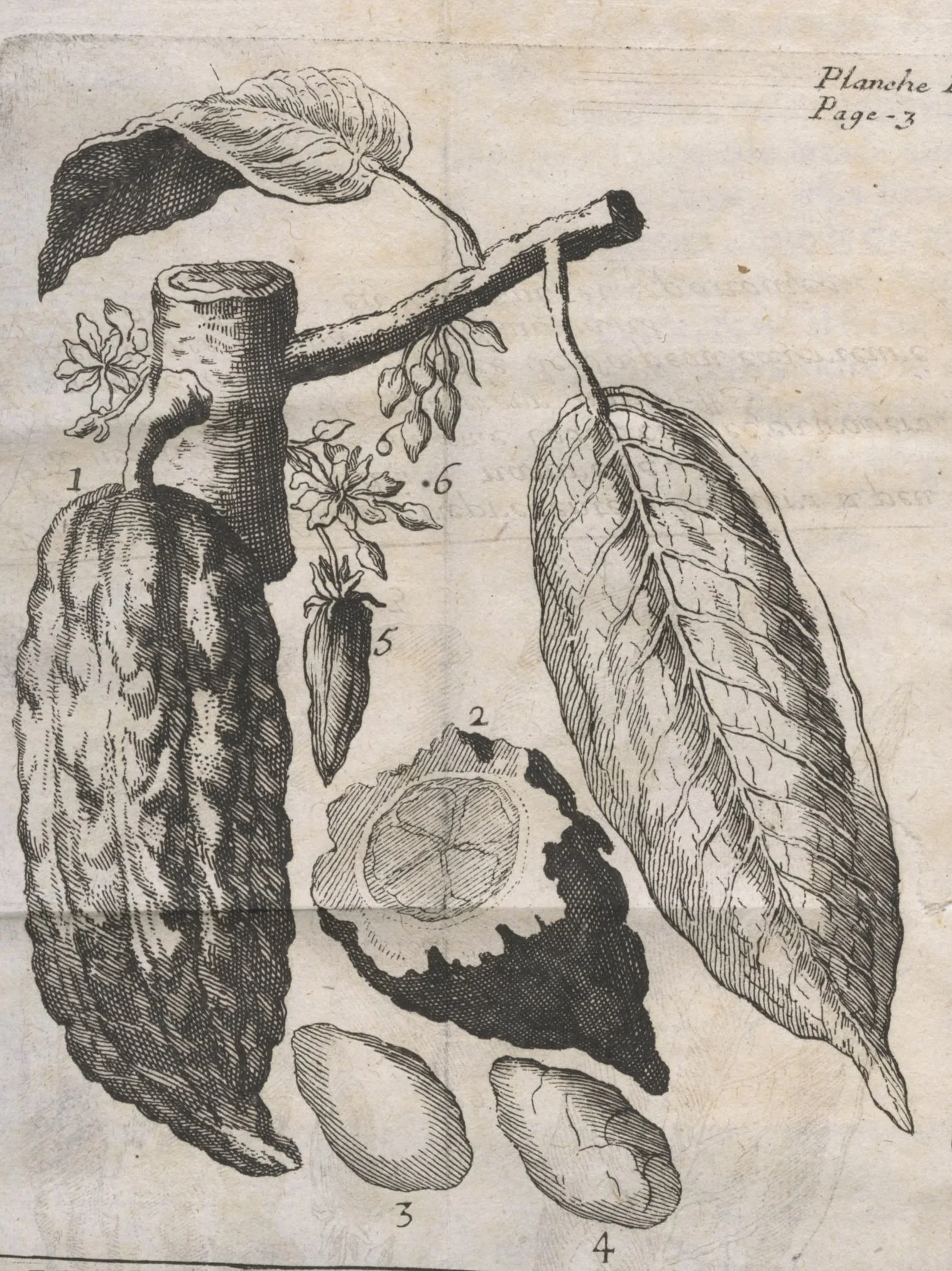 Gather, Learn, Taste: Hot Chocolate Edition