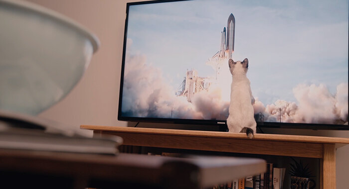 Catspiracy_Image_Break_Small_07.jpg