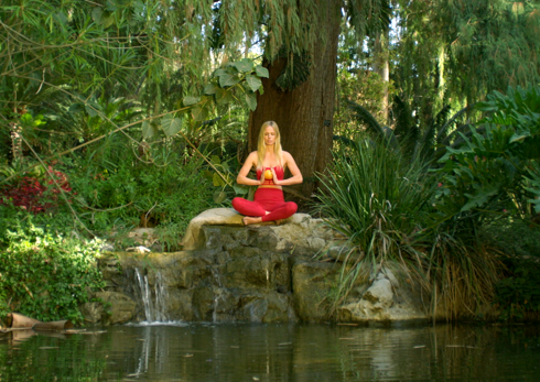 Suja_Image_Break_Small_9.png