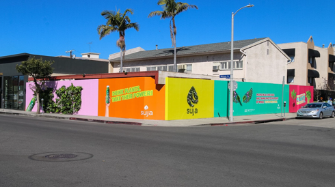 Suja_Image_Break_living_wall_Small_2.png